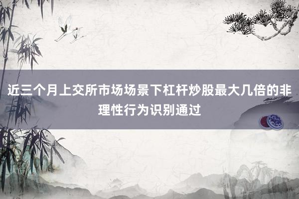近三个月上交所市场场景下杠杆炒股最大几倍的非理性行为识别通过